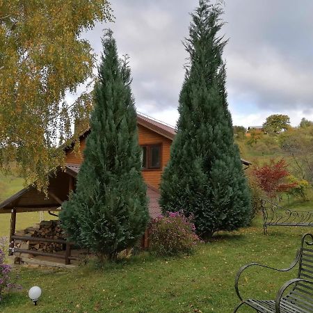Casa Zara Villa Bran  Luaran gambar