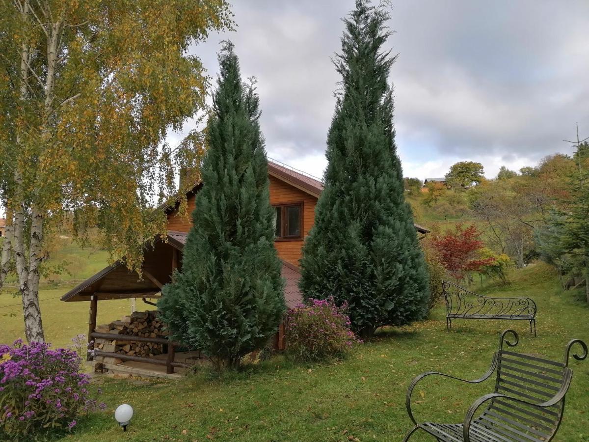 Casa Zara Villa Bran  Luaran gambar