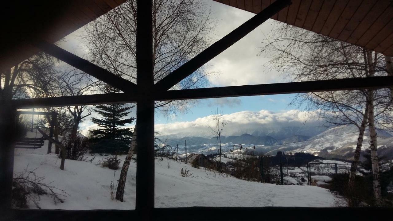 Casa Zara Villa Bran  Luaran gambar