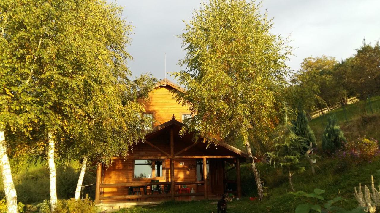 Casa Zara Villa Bran  Luaran gambar